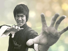 خرد بروس لی