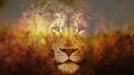 مثل شیر باش