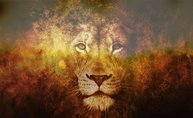 مثل شیر باش